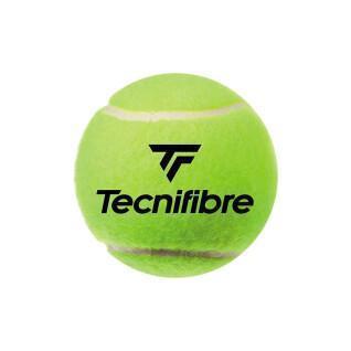 Zestaw 4 piłek tenisowych Tecnifibre Club Pet
