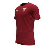 Koszulka treningowa Torino FC 2021/22 Paseo