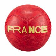 Balon France Pitch 2022/23